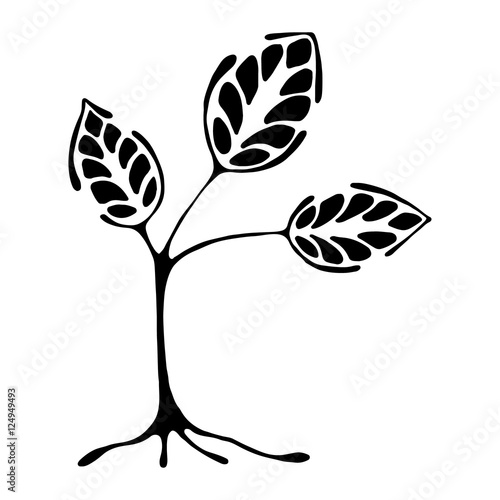 Vector hand drawn illustration, decorative ornamental stylized tree. Black and white graphic illustration isolated on the white background. Inc drawing silhouette. Decorative artistic ornamental wood