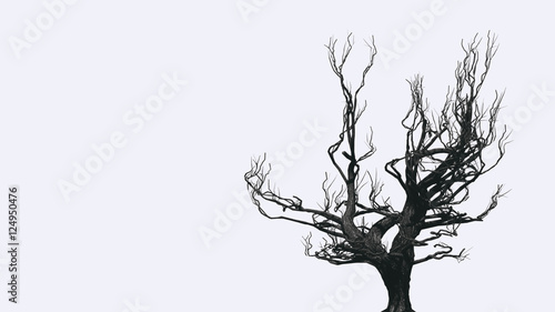 Silhouette of bare tree  halloween horror background