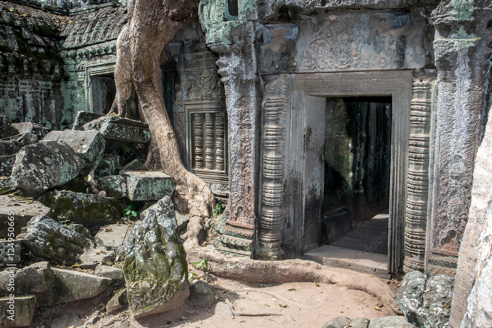 Naklejka premium Khmer temple Ta Prohm, Angkor complex, Siem Reap
