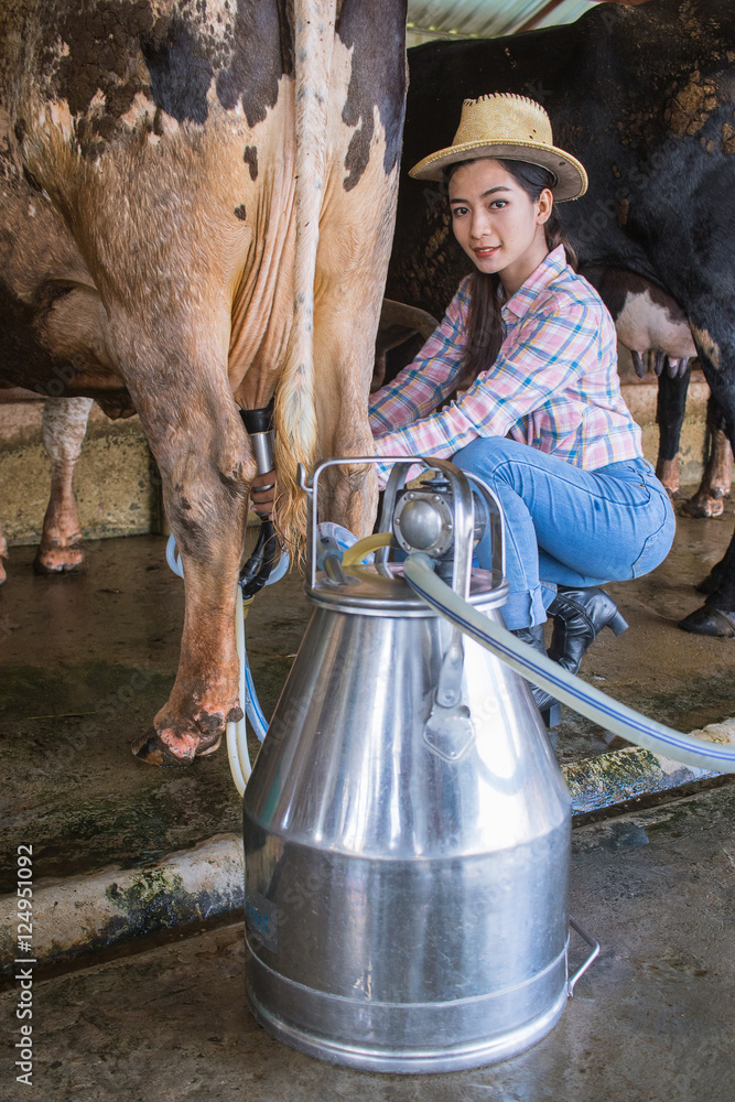 Ручное доение коров. Видеть во сне козу. Доить корову. Ручное доение коров. К чему снится видеть как доят козу.