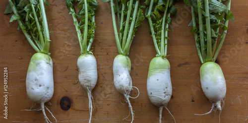A panorama of large radishes on table.