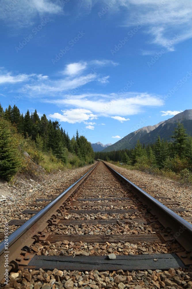 Fototapeta premium Railroad 