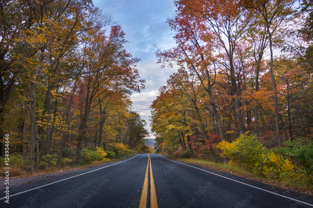 Autumn in bear mountain New York. View of an empty road between the fall golden foliage