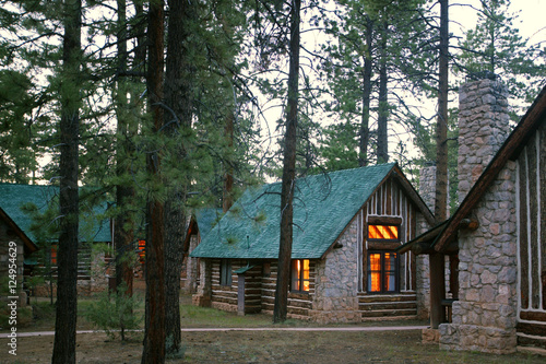 Vászonkép cabin in woods
