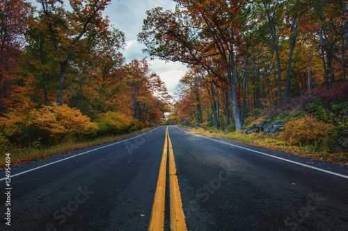 Autumn in bear mountain New York. View of an empty road between the fall golden foliage