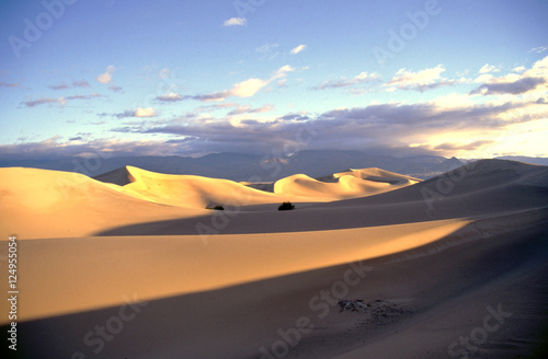 sand dunes