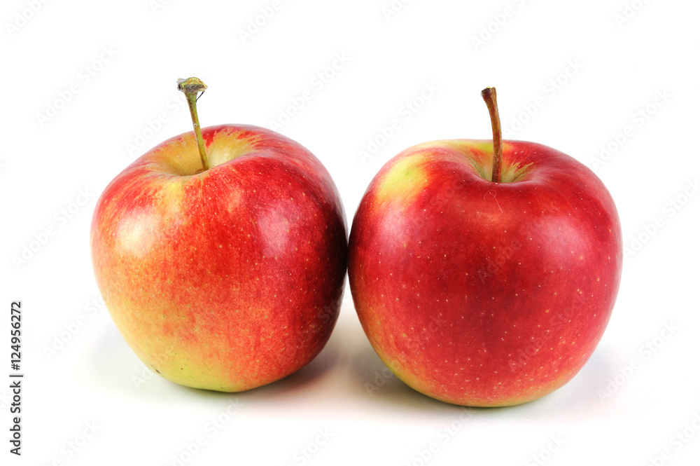 close up on red apple isolated on white background close up on red apple isolated on white background