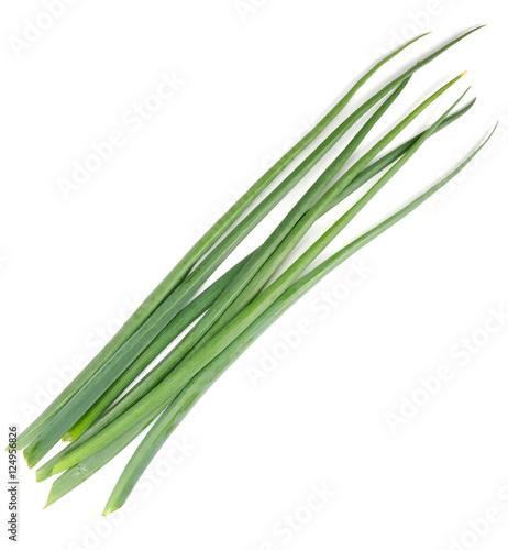 Spring Onion Isolated on White Background