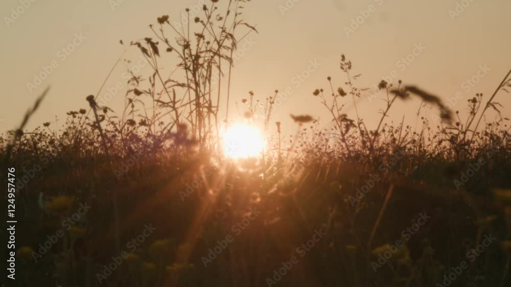 beauty sunset, scenic field, slow zoom, Tyrol, Austria. beauty sunset, scenic field, slow zoom, Tyrol, Austria.