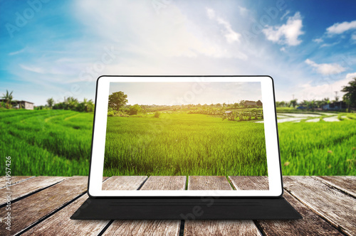 Digital tablet on wooden texture, at agricultural green field in sunrise photo