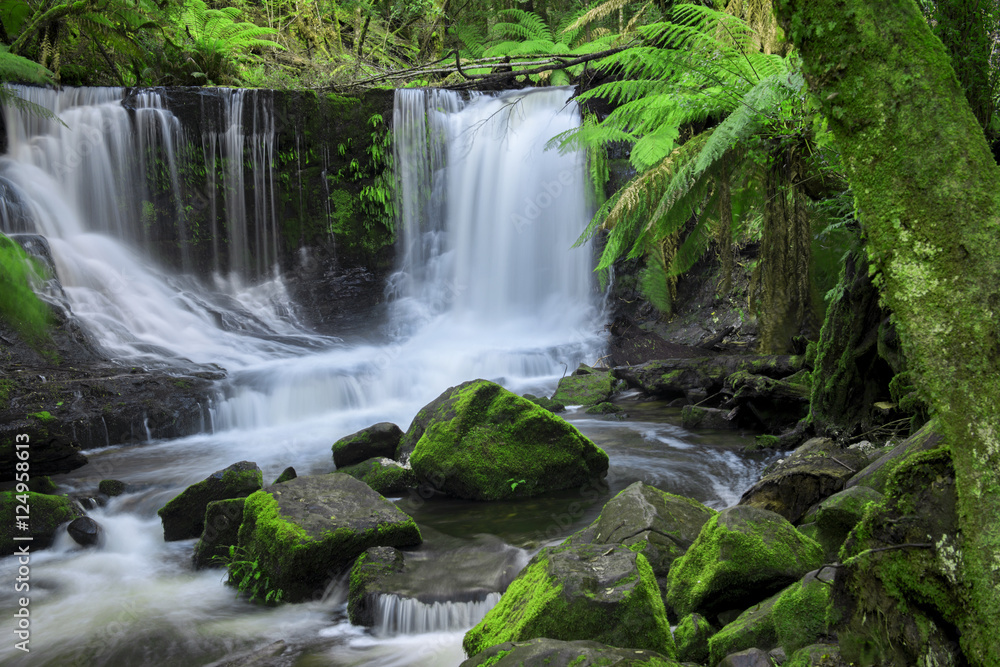 The beautiful Horseshoe Falls after heavy rain fall in Mount Field National Park, Tasmania, Australia. The beautiful Horseshoe Falls after heavy rain fall in Mount Field National Park, Tasmania, Australia.