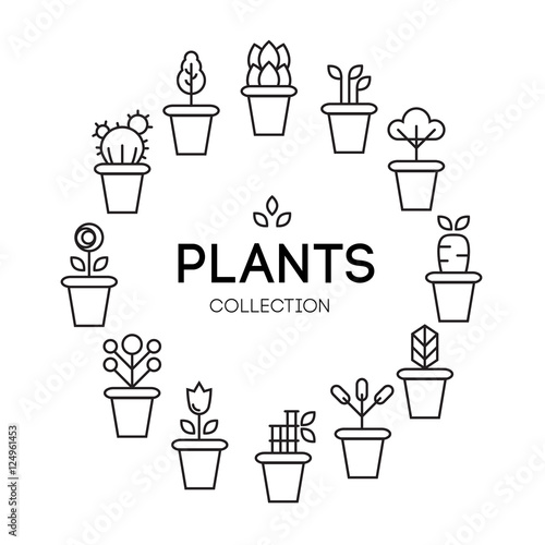 icons of pot plants garden