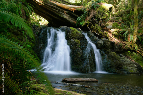 waterfalls in woods