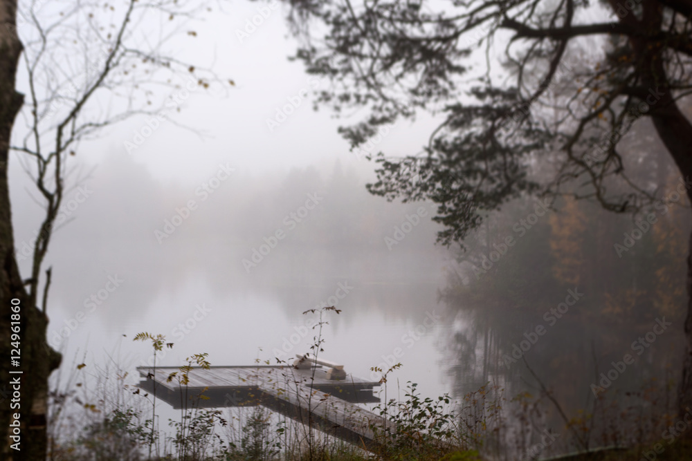 Fototapeta premium Lake fog