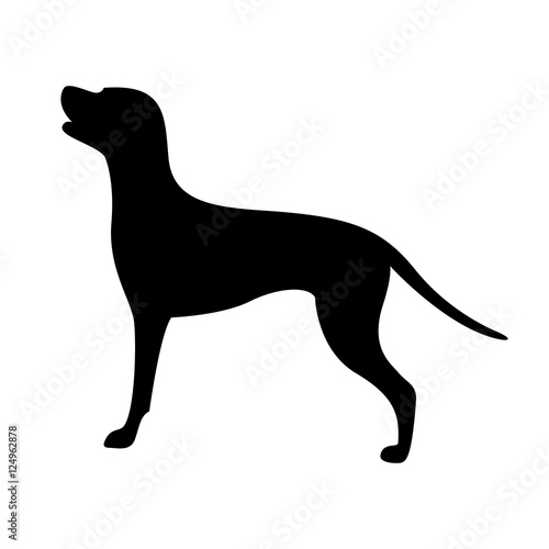 dog silhouette  vector