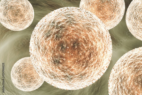 Chlamydia trachomatis 3D illustration