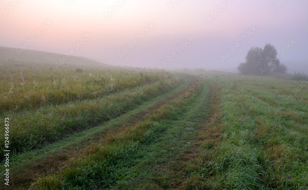 Obraz premium Misty summer landscape