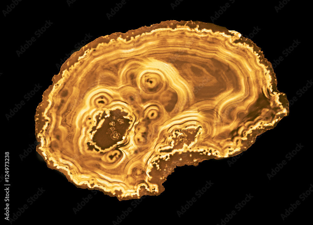 Close up of agate slice Close up of agate slice