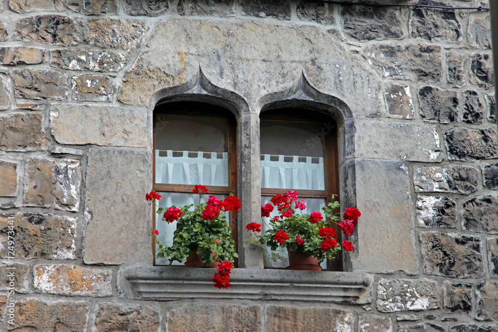 flowers n gothic window