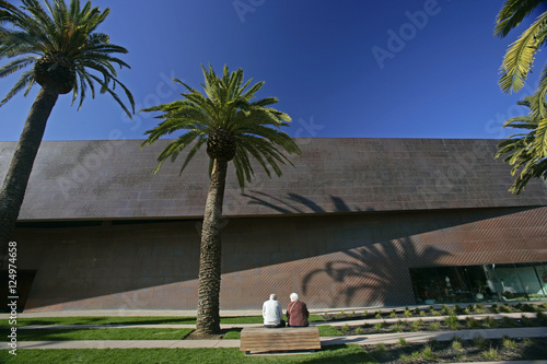 de-young wall trees ppl