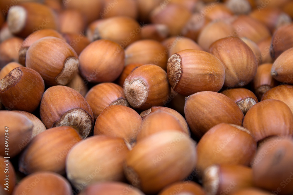 Many peeled hazel nuts - background of nature Many peeled hazel nuts - background of nature