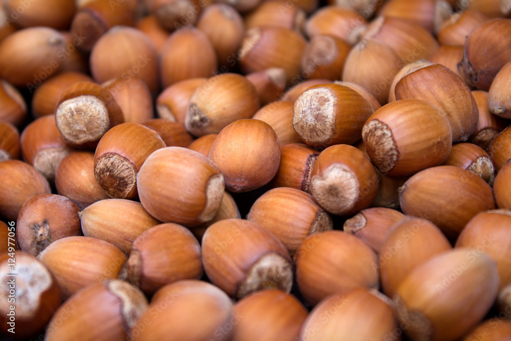 Many peeled hazel nuts - background of nature Many peeled hazel nuts - background of nature