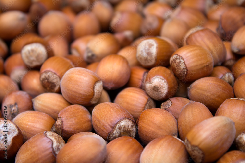 Many peeled hazel nuts - background of nature Many peeled hazel nuts - background of nature