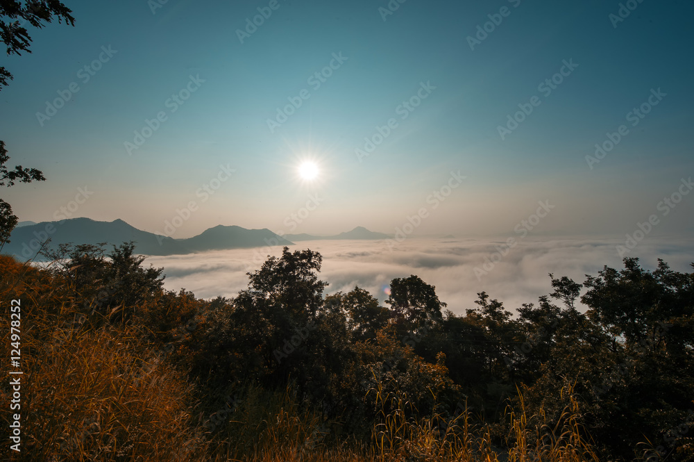 The sea of fog with forests as foreground. The sea of mist with