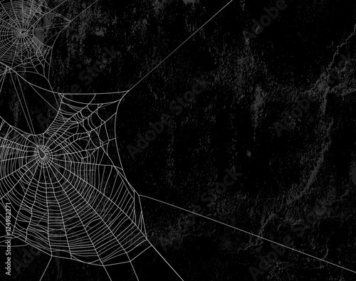 spider web against black shabby wall background photo