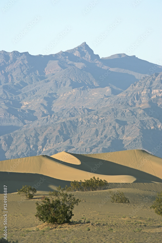 Naklejka premium dunes n mtns