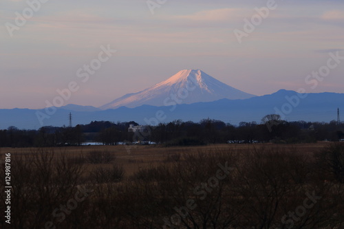 渡良瀬遊水地から望む富士山
