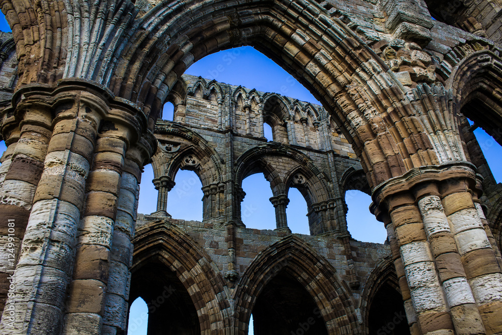 Imposing Gothic Ruins