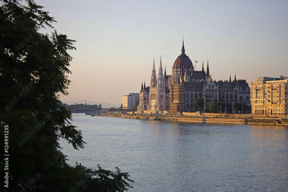 Fototapeta premium parliament n river view