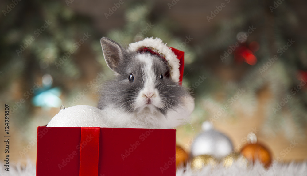 Naklejka premium Funny bunny and Christmas background with winter decoration