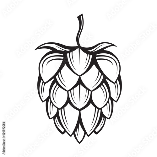black illustration of hop for brewing