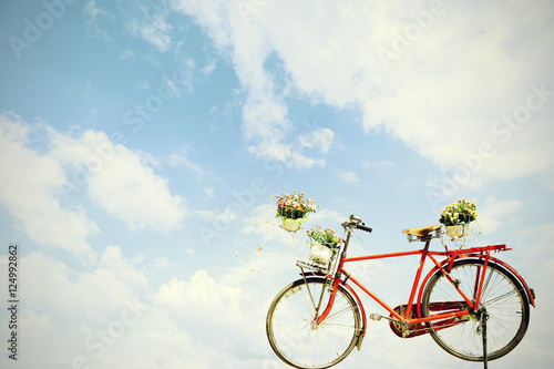 Old red bicycle with flower in basket on blue sky background © panya99