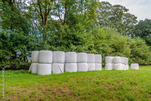 Bales of hay stacked on the edge of the grassland