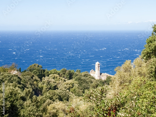 coastal landscape and forest of Cap Corse