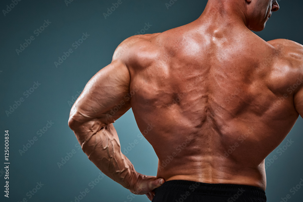 torso of attractive male body builder on gray background. torso of attractive male body builder on gray background.