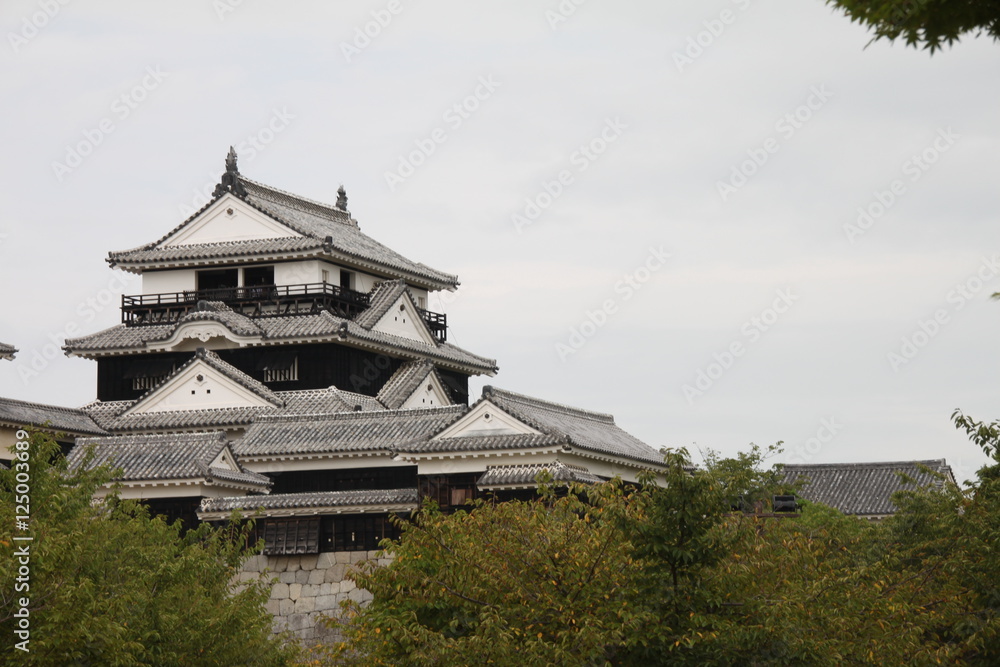Matsuyama Castle Jokamachi Japan Matsuyama Castle Jokamachi Japan