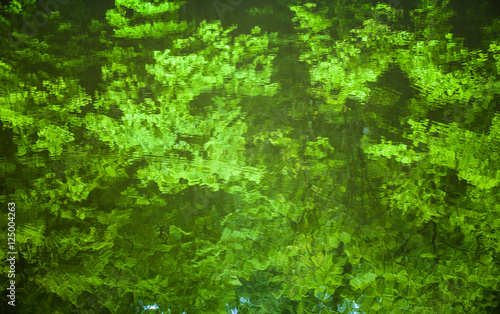 Water surface with the reflection of the green trees