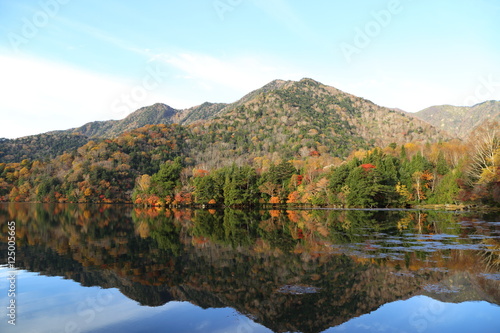 湯ノ湖の紅葉 ( Autumn leaves of the Yunoko lake in Nikko )