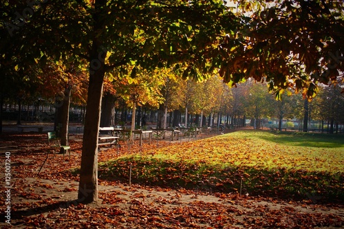 Paysage d'automne à Paris, France