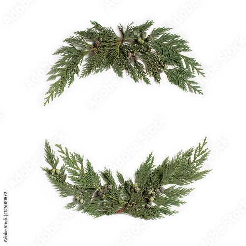 Christmas concept - frame wreath with evergreen Cupressus 
