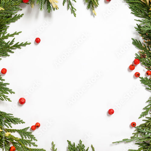 Christmas background border with evergreen fir tree 