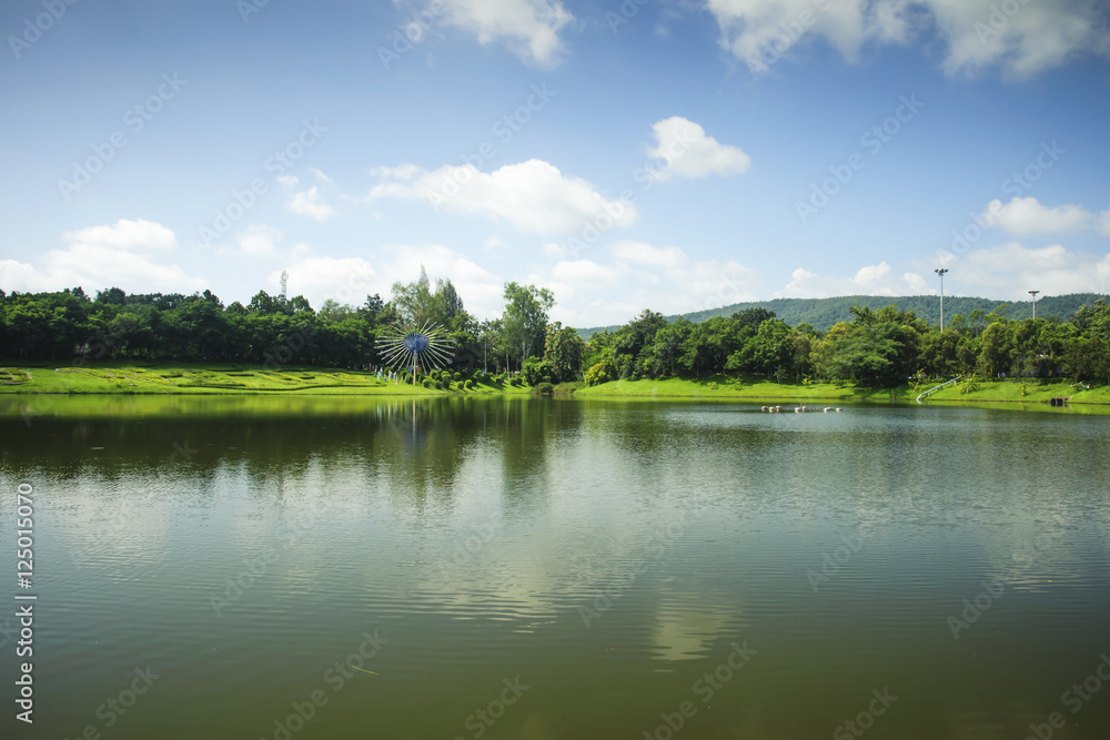 Lake and forest under blue sky Reservoir
