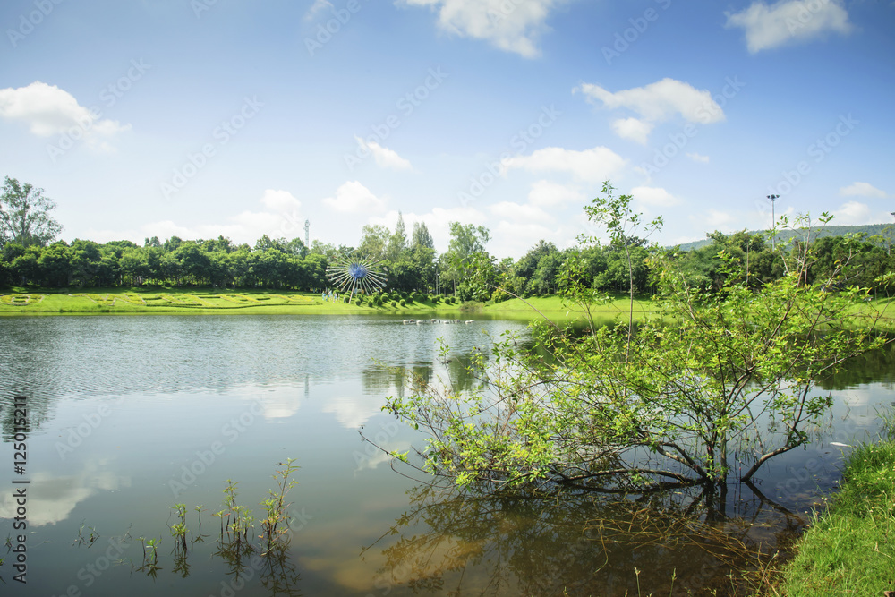 Obraz premium Lake and forest under blue sky Reservoir