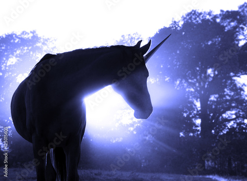 Photo Image of a magical unicorn against hazy sunrise with sun rays in blue tone