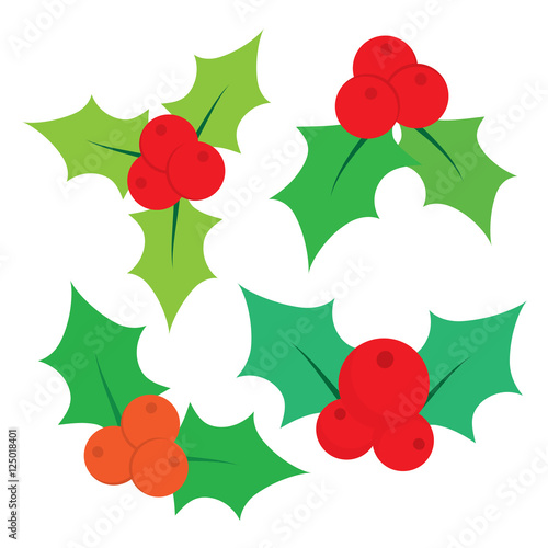 Set of Christmas holly leaves. Vector illustration