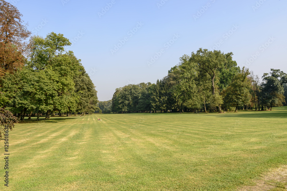 Fototapeta premium glade in Villa Reale park, Monza, Italy